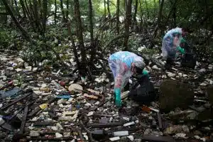 resilienciamag.com - Os humanos est&atilde;o acelerando a extin&ccedil;&atilde;o e alterando o mundo natural em um ritmo sem precedentes