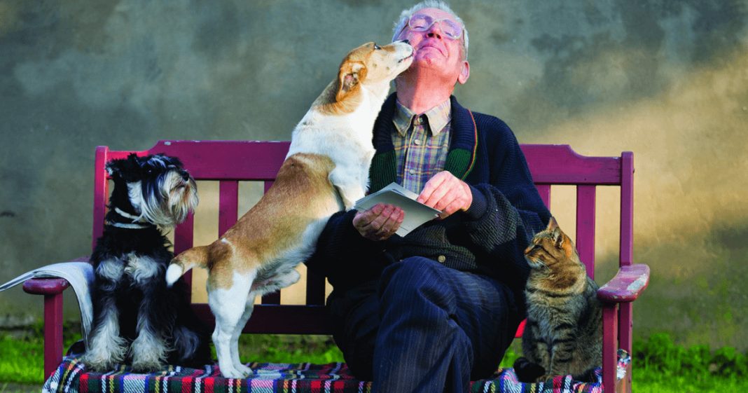 Os animais são Guerreiros que combatem a solidão na velhice