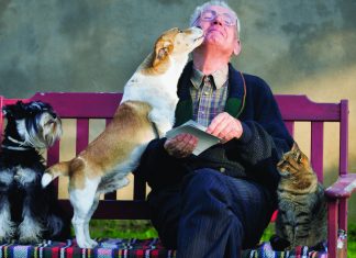 Os animais são Guerreiros que combatem a solidão na velhice