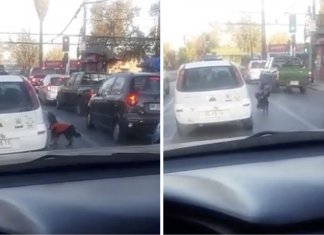 Filhote de cachorro abandonado segue seu dono esperando por ele para levá-lo para o carro.