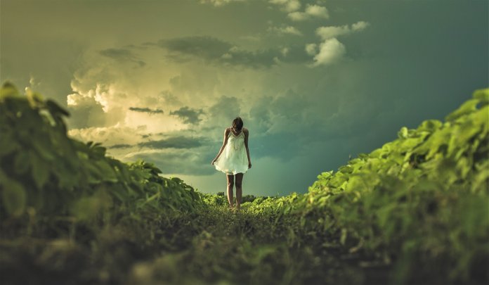matthew-henry-25568-unsplash