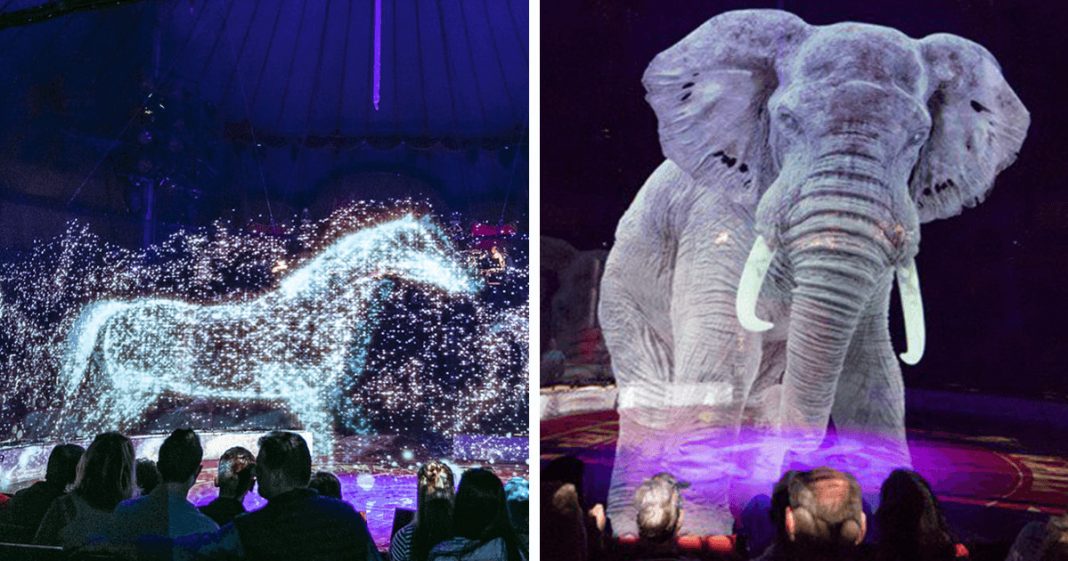 Circo na Alemanha transforma animais em hologramas em ato de conscientização contra a crueldade animal