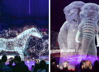 Circo na Alemanha transforma animais em hologramas em ato de conscientização contra a crueldade animal