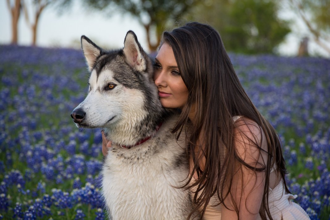 Ter animais de estimação melhoraria a saúde mental das pessoas