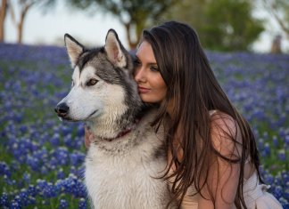 Ter animais de estimação melhoraria a saúde mental das pessoas