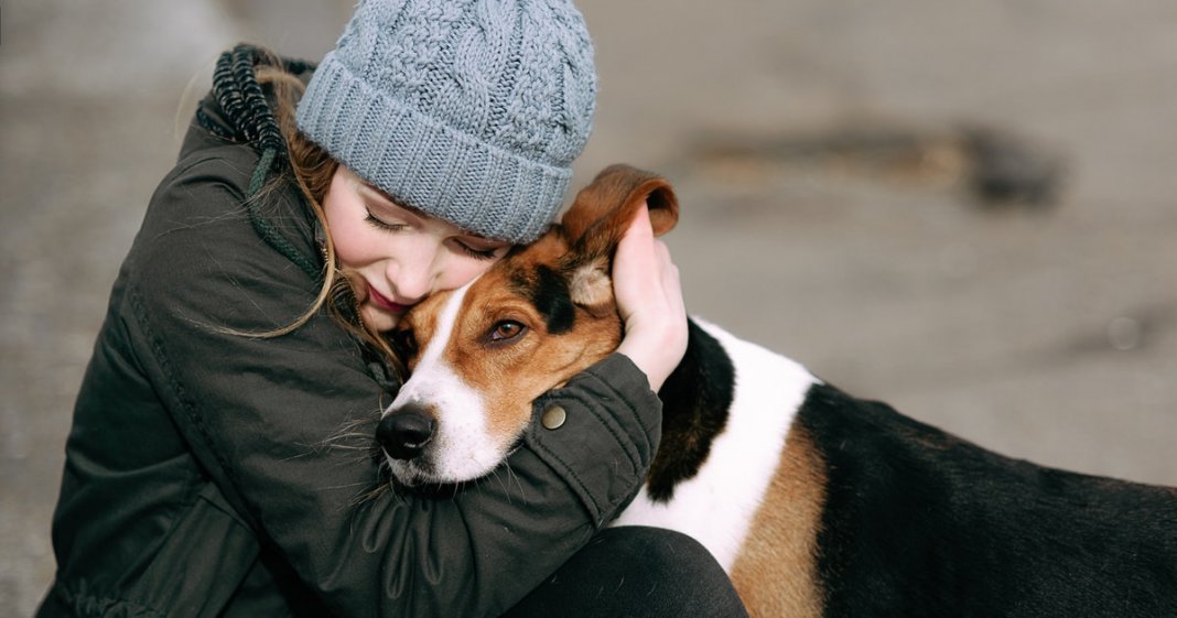 Novo estudo conclui que humanos amam mais seus cães do que as pessoas