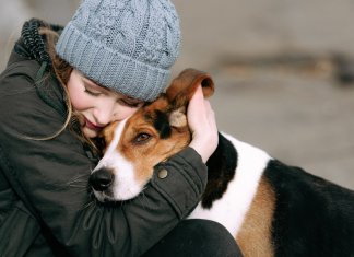 Novo estudo conclui que humanos amam mais seus cães do que as pessoas