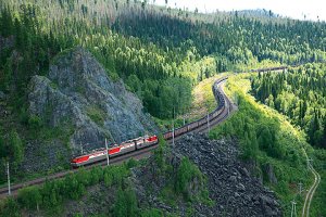 resilienciamag.com - Cadela caminha 200km pela floresta siberiana pra reencontrar dona que a abandonou