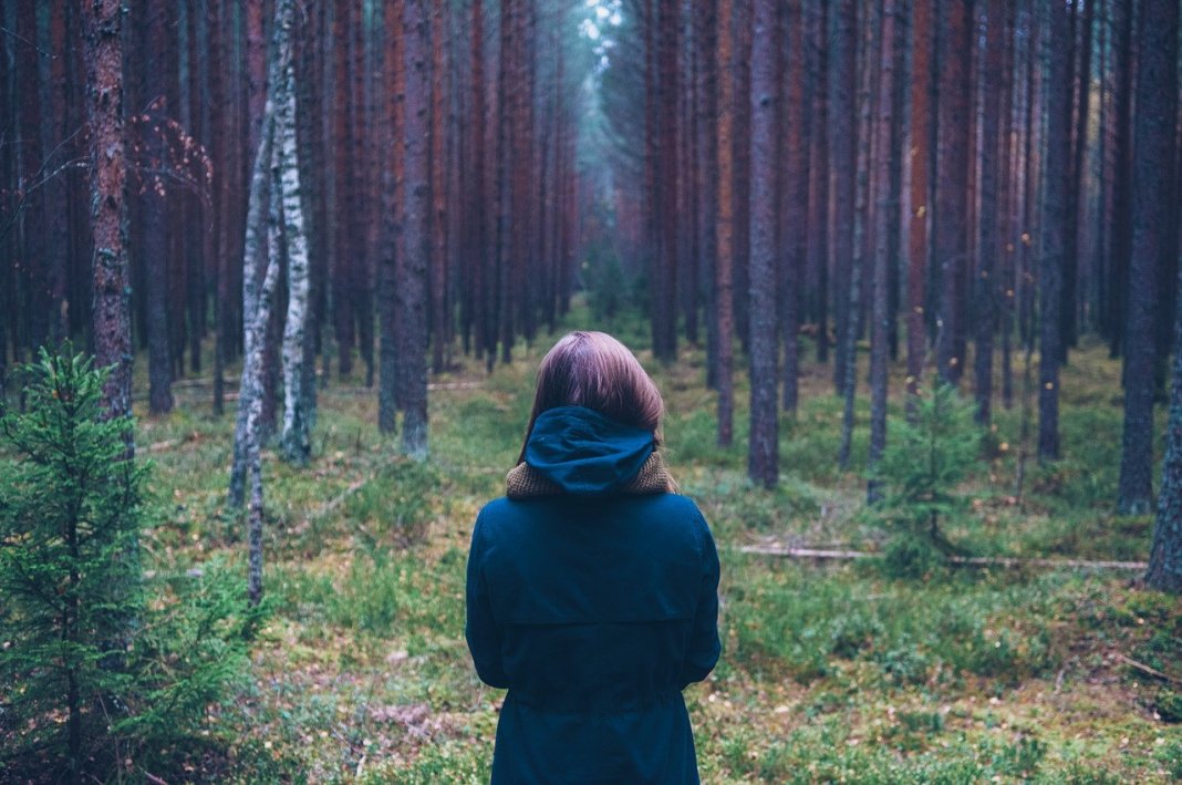 Teste do bosque, um exercício da psicanálise relacional