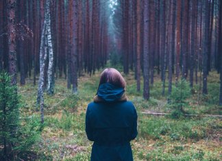 Teste do bosque, um exercício da psicanálise relacional