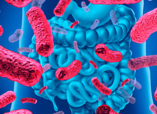 A enorme variedade de pequenas bactérias intestinais no alívio da depressão e no bem-estar