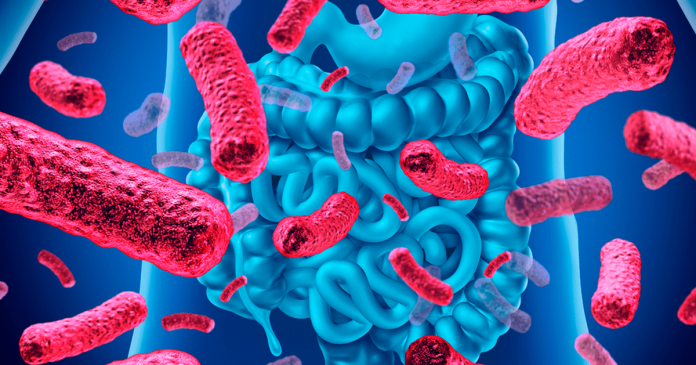 a-enorme-variedade-de-pequenas-bacterias-intestinais-no-alivio-da-depressao-e-no-bem-estar