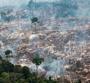 resilienciamag.com - Imagens dramáticas mostram o efeito devastador dos incêndios na floresta amazônica