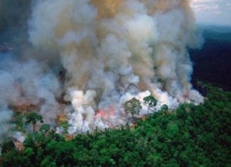 Imagens dramáticas mostram o efeito devastador dos incêndios na floresta amazônica
