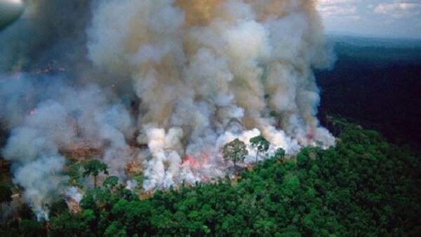 Imagens dramáticas mostram o efeito devastador dos incêndios na floresta amazônica