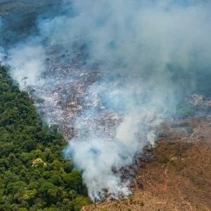 resilienciamag.com - Imagens dramáticas mostram o efeito devastador dos incêndios na floresta amazônica
