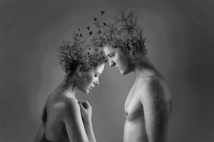 amor