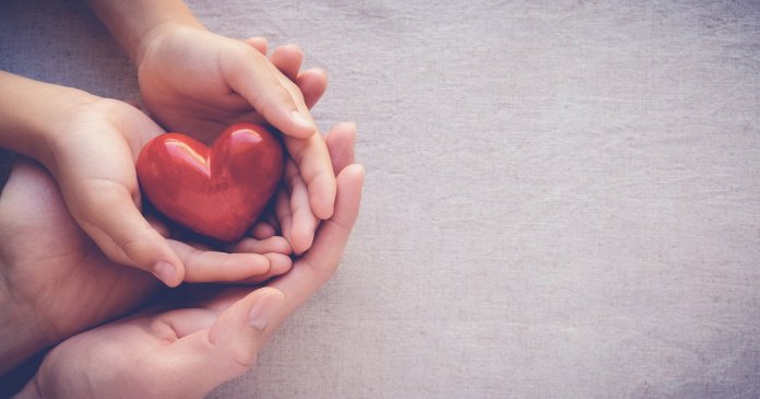 adult and child hands holding red heart, health care love and family concept