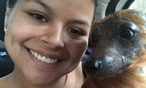 resilienciamag.com - Cãozinho Sebastian chora ao ser adotado e imagem emociona internautas no Acre