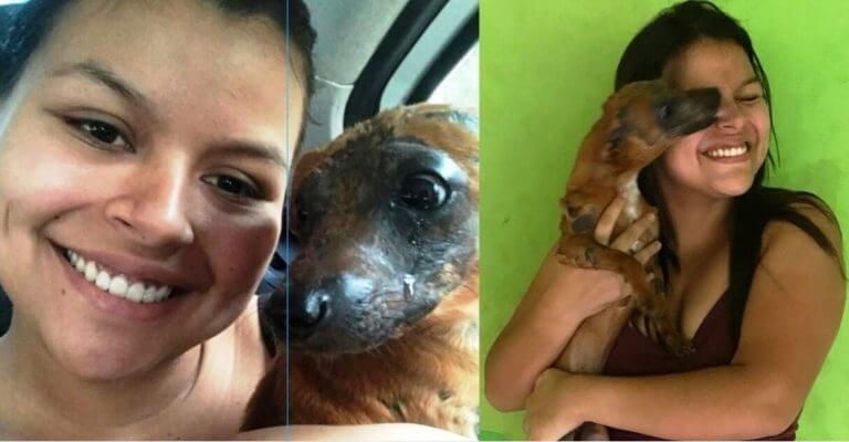 Cãozinho Sebastian chora ao ser adotado e imagem emociona internautas no Acre