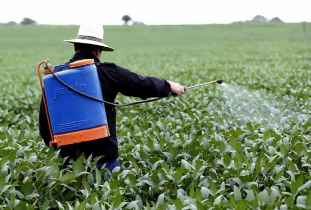 Florianópolis é primeira cidade brasileira a banir agrotóxicos de suas lavouras por lei