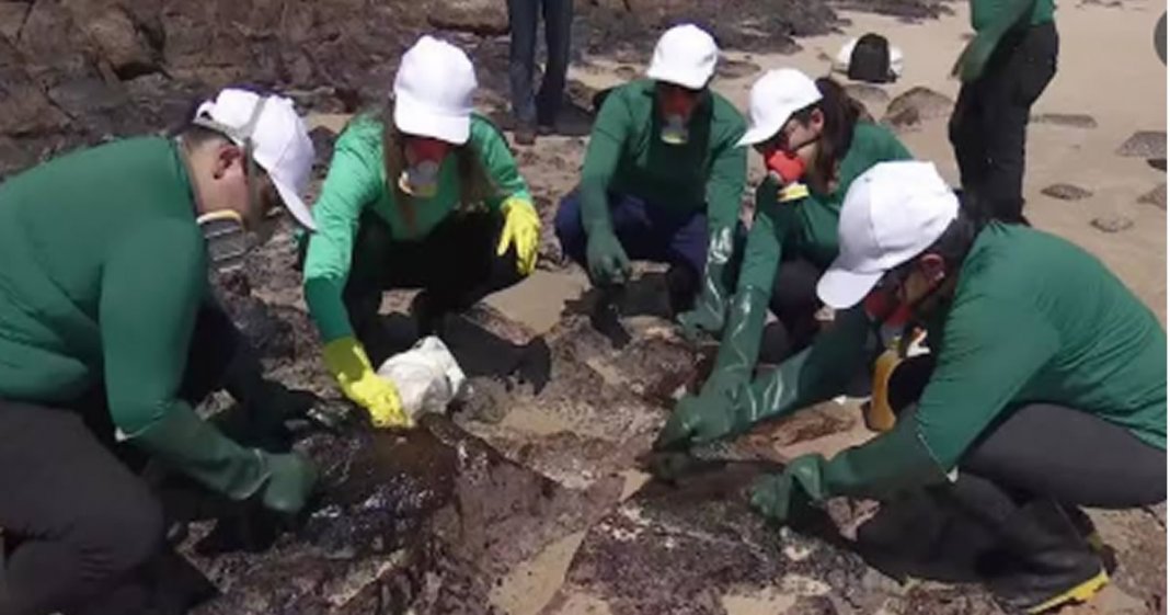 Biogel criado em PE ajuda a limpar pedras atingidas por óleo nas praias