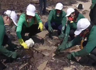 Biogel criado em PE ajuda a limpar pedras atingidas por óleo nas praias