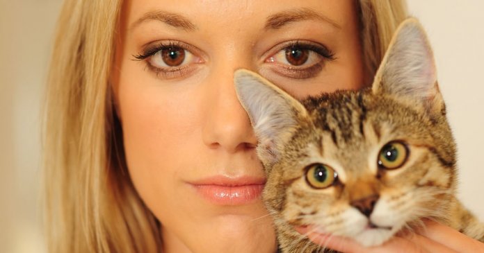 estudo-mostra-que-preferir-gatos-esta-associado-a-alta-inteligencia