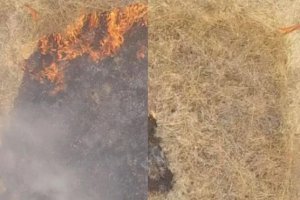resilienciamag.com - Engenheiro cria gel que aderido na mata impede incêndios florestais