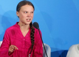 Por que algumas pessoas odeiam tanto Greta Thunberg?