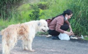 resilienciamag.com - Cachorro esperou 4 anos por seus donos na beira da estrada, mas quando eles voltaram para pegá-lo, ele não quis ir!