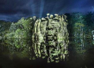 Rostos de indígenas brasileiros foram projetados em árvores da Floresta Amazônica, e o resultado é belíssimo.