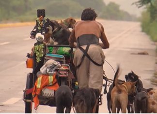 Homem percorre país salvando cães doentes e feridos: vídeo