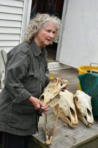 resilienciamag.com - Esta mulher mora sozinha em uma pequena ilha desabitada no Atlântico há 40 anos