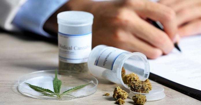anvisa-autoriza-registro-e-producao-de-remedio-a-base-de-maconha-no-brasil