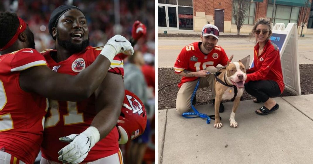 Ganhou a Super Bowl e festejou pagando custos de adoção de cachorros abandonados em refúgio