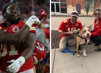 Ganhou a Super Bowl e festejou pagando custos de adoção de cachorros abandonados em refúgio