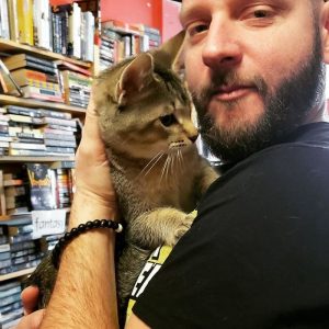 resilienciamag.com - Gatinhos andam à solta em livraria no Canadá e podem até ser adotados