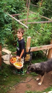 resilienciamag.com - Menino ajuda crianças carenciadas cultivando horta no quintal