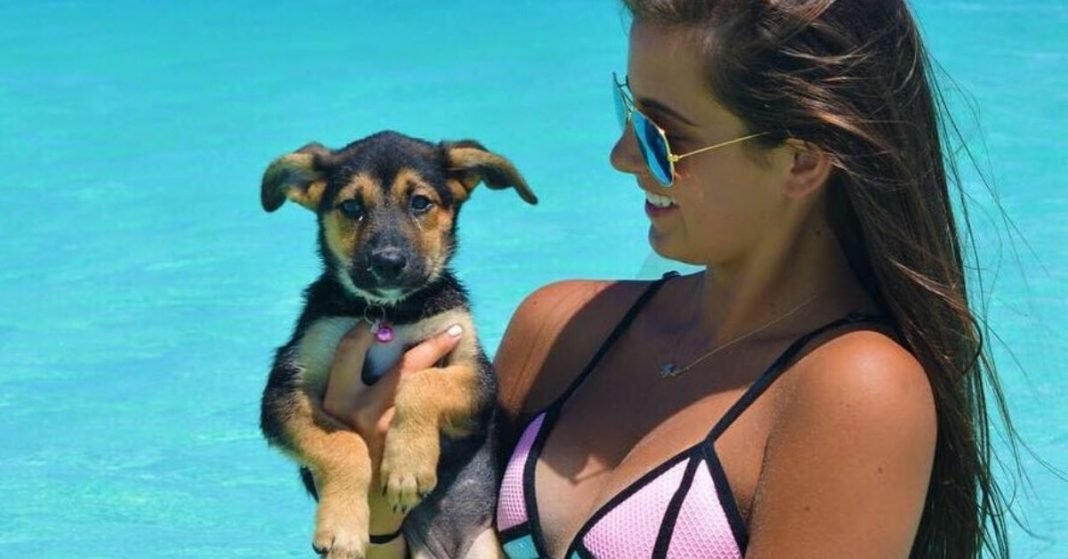 Nesta ilha paradisíaca podes levar cachorros resgatados a passear na praia
