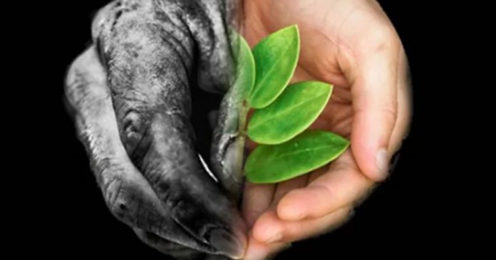 resiliencia-humana-renovando-a-nossa-esperanca-no-mundo-e-em-nos-mesmos