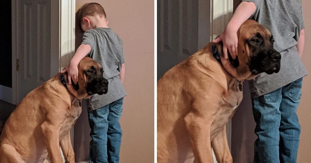 Cachorro faz companha a amigo que ficou de castigo
