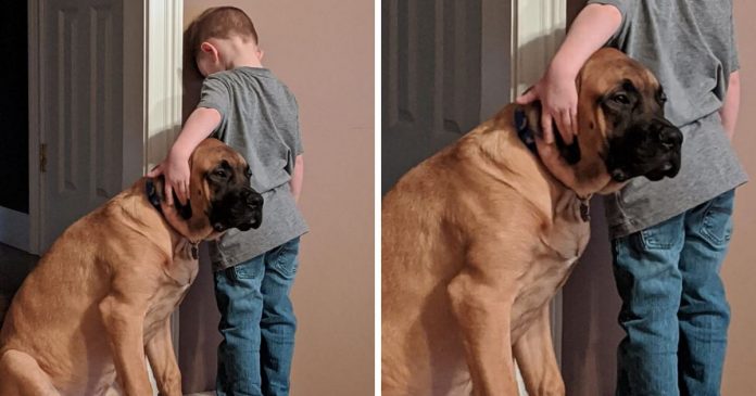 cachorro-faz-companha-a-amigo-que-ficou-de-castigo