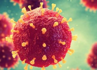 Coronavírus pode durar em superfícies por dias, dizem cientistas.