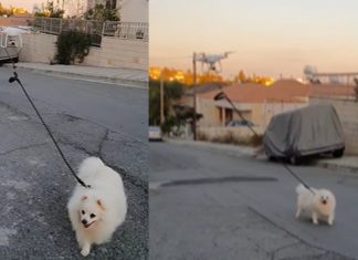 Ele usou drone para passear com seu cachorro na quarentena e viralizou!