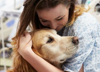 Terapia pet: o amor incondicional dos bichos aos humanos!