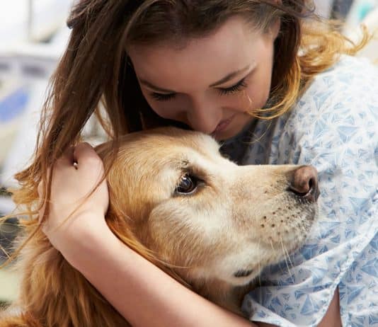 mulher-recebendo-o-amor-de-um-cao