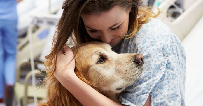 terapia-pet-o-amor-incondicional-aos-humanos mulher-recebendo-o-amor-de-um-cao