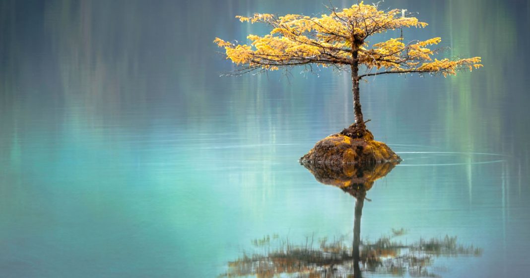 A calma não sobrevive a escuridão, precisa de luz para se tornar plenitude!