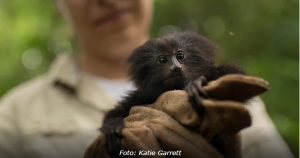 resilienciamag.com - Brasileiras recebem maior prêmio de conservação ambiental do mundo